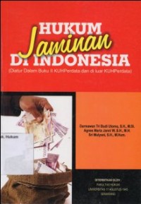 Image of HUKUM JAMINAN DI INDONESIA (DIATUR DALAM BUKU II KUHPERDATA DAN DI LUAR KUHPERDATA)